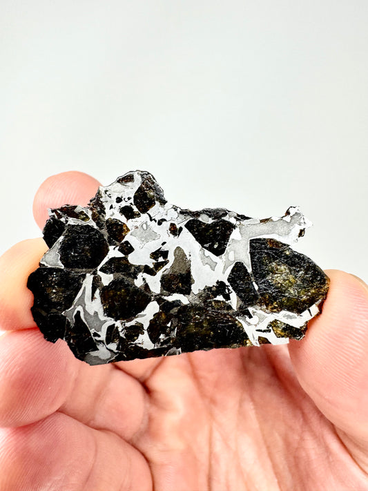 Brahin Pallasite Meteorite - 11.1g - From The Mantle/Core Of An Asteroid - Grade D Translucency