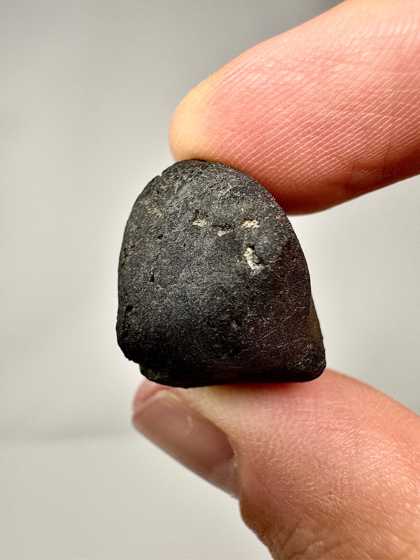 Recent 2023 Witnessed Fall! El Menia Meteorite (Individual) - 8.0g