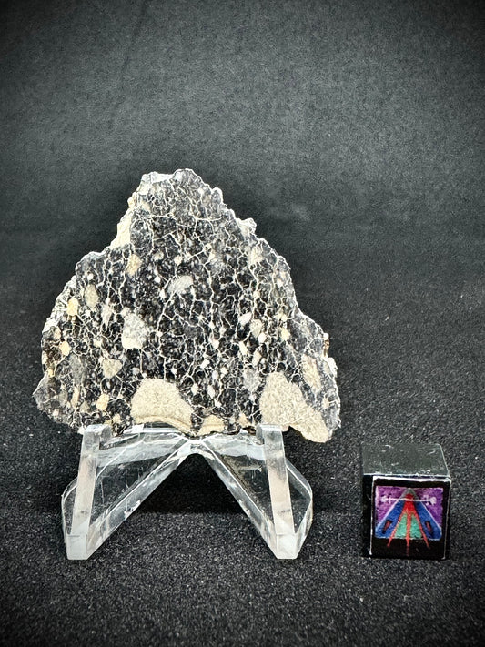 NWA 14685 Lunar Fragmental Breccia - Full Slice - 6.7g