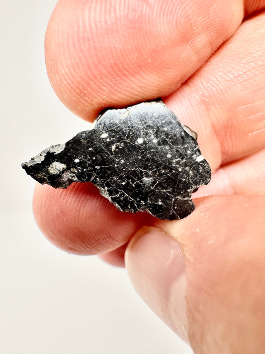 Mesmerizing NWA 13951 “Starry Night” Lunar Meteorite Slice - 1.0g