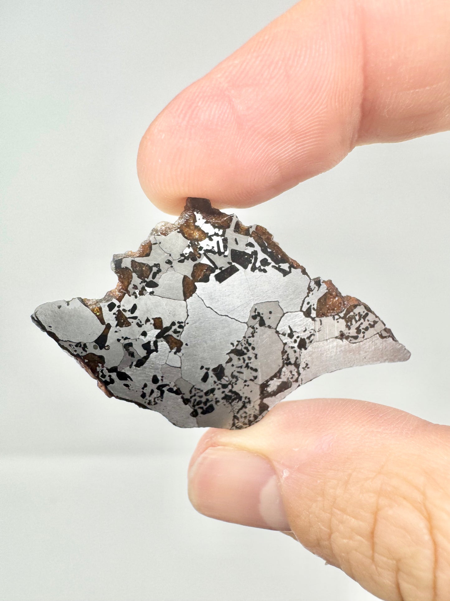 Hassi El Biod 002 Meteorite - Some Translucency On Outer Edge - 9.3g - A Rare, Ungrouped Olivine/Pyroxene Filled Pallasite!