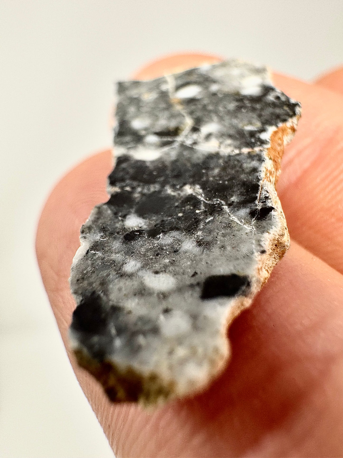 1.8g Bechar 003 Lunar Feldspathic Breccia - From Our Moon!