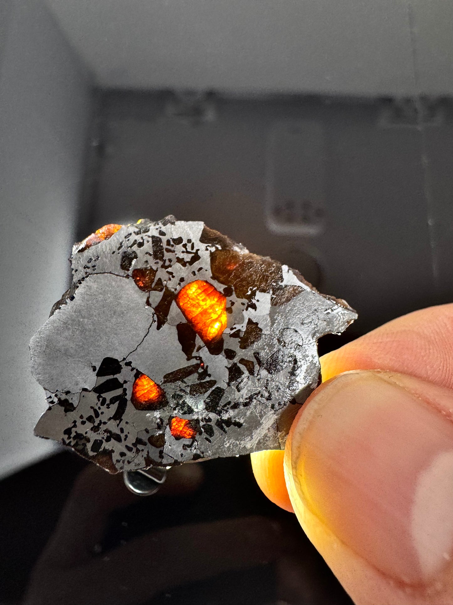 Hassi El Biod 002 Meteorite - 6.0g - A Rare, Ungrouped Olivine/Pyroxene Filled Pallasite!
