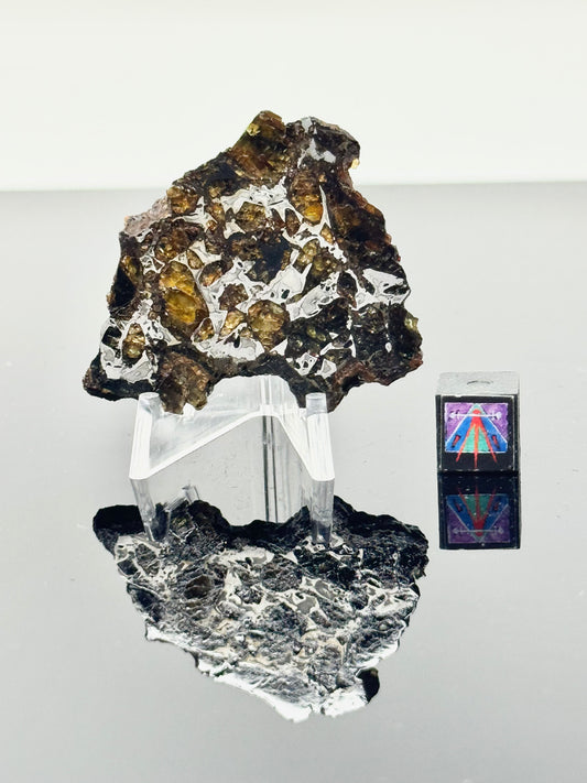 16.0g Admire Pallasite Meteorite - From The Mantle/Core Of An Asteroid - Grade B Translucency