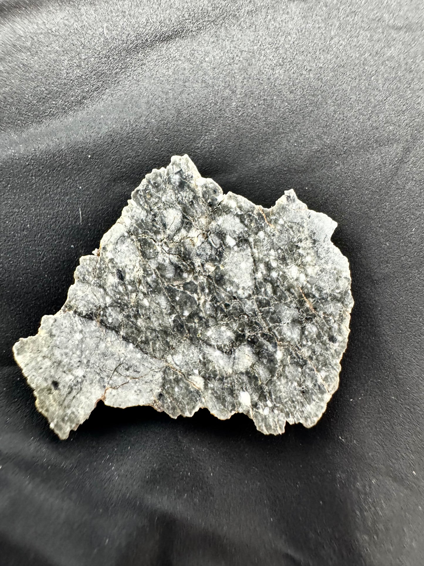 Gadamis 003 Lunar Meteorite - Ferroan Anorthosite, Cataclastic - “The Apollo Lunar” - 1.4g