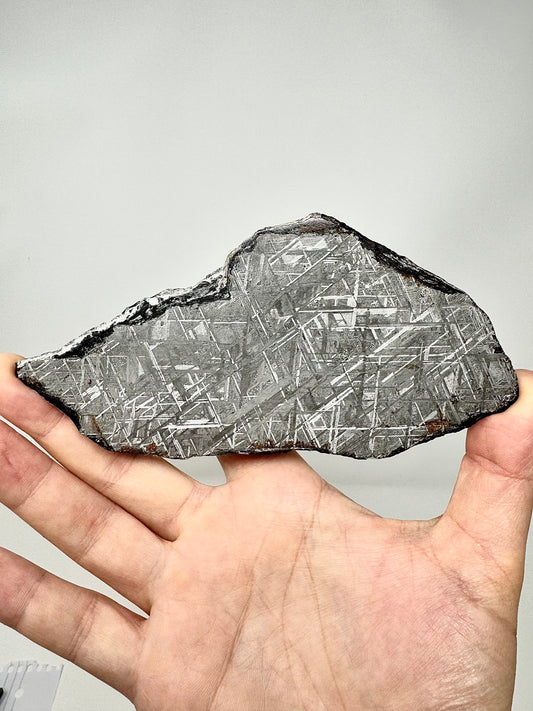 Muonionalusta Iron Meteorite - 143.6g - Full Slice - From The Core Of An Asteroid!