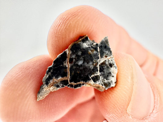 Beautiful Bechar 003 Lunar Feldspathic Breccia- 0.8g - A Piece Of Our Moon!