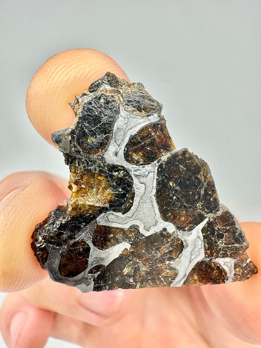 Brahin Pallasite Meteorite - 7.9g - From The Mantle/Core Of An Asteroid - Grade C Translucency