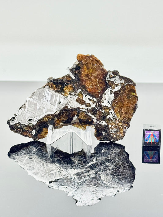 34.2g Admire Pallasite Meteorite - From The Mantle/Core Of An Asteroid - Grade B Translucency