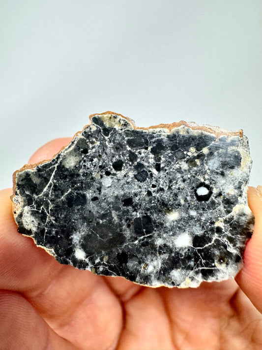 Stunning 3.8g Bechar 003 Lunar Feldspathic Breccia with metal inclusion from impact in space! Polished