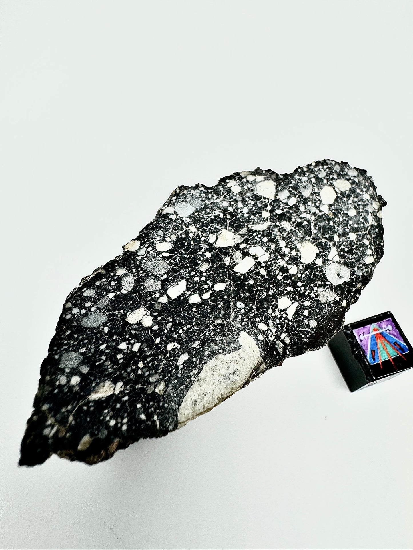 Massive Chunk of the Moon - NWA 14685 Lunar Fragmental Breccia End Cut - Polished - 80.9g