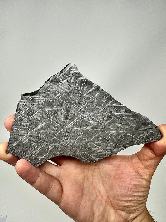 “The Infinity Iron” NWA 17092 - 158.6g Full Slice - From The Core Of An Asteroid