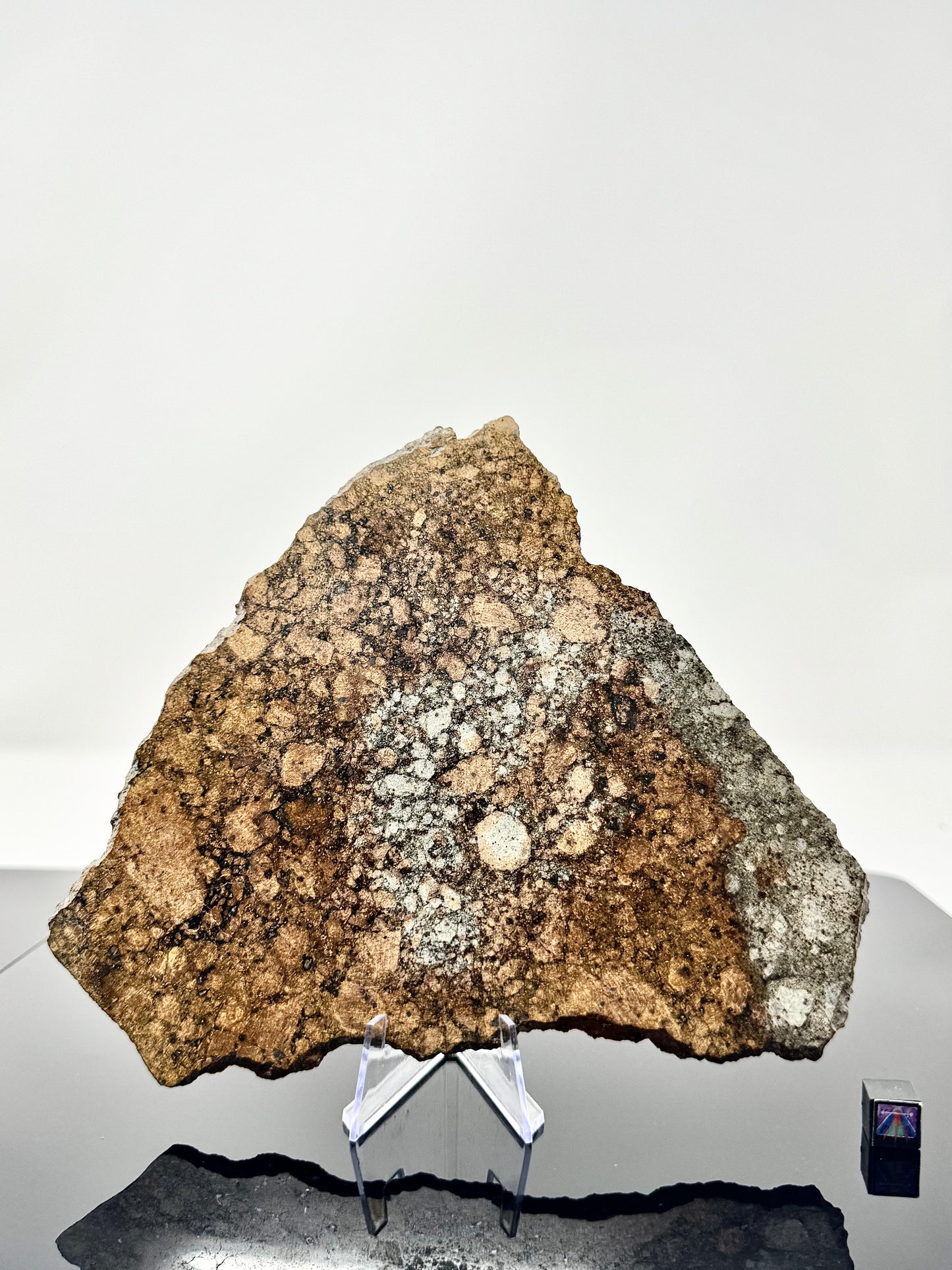 Full Slice of NWA 15953 Diogenite Meteorite -186.2g - Dual Lithology - From An Asteroid!