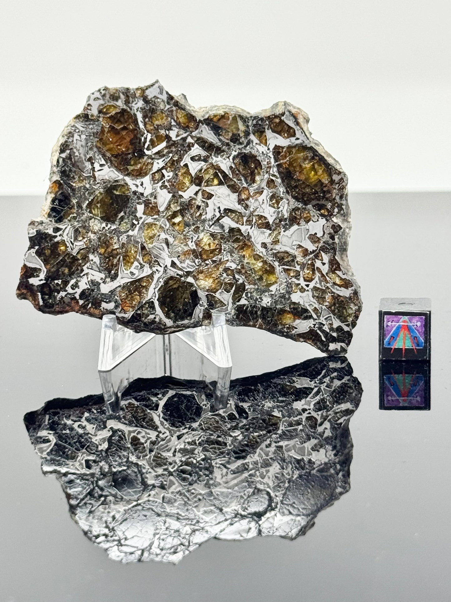 40.7g Admire Pallasite Meteorite - From The Mantle/Core Of An Asteroid - Grade B Translucency