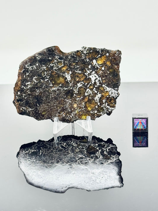 40.0g Admire Pallasite Meteorite - From The Mantle/Core Of An Asteroid - Grade C+ Translucency