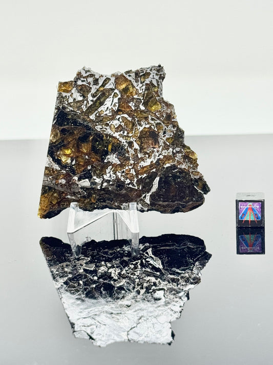 36.8g Admire Pallasite Meteorite - From The Mantle/Core Of An Asteroid - Grade C+ Translucency