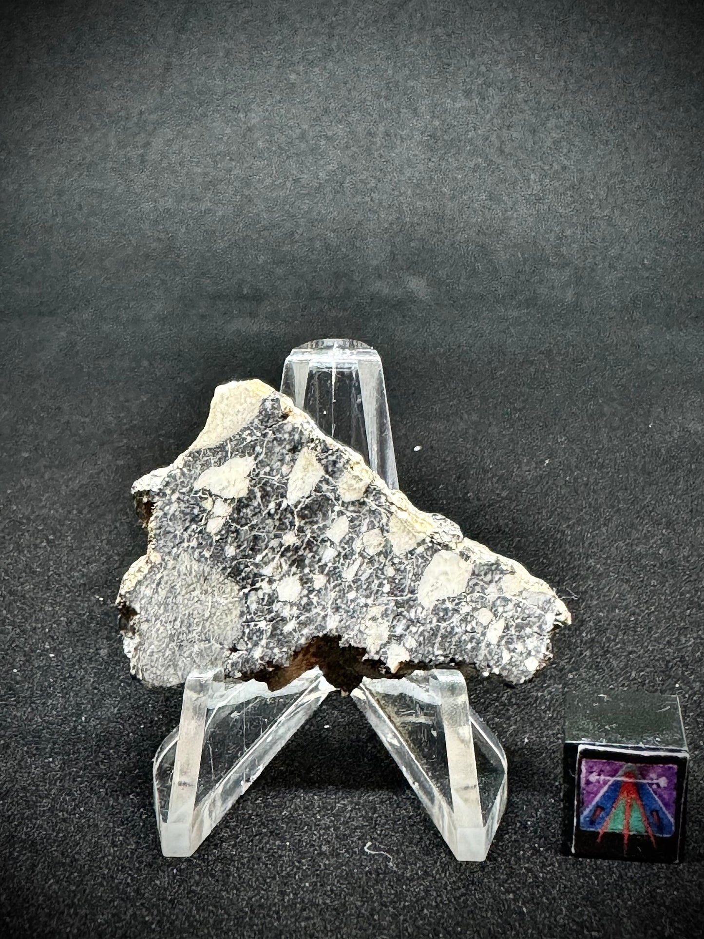 NWA 14685 Lunar Fragmental Breccia - Full Slice - 5.3g