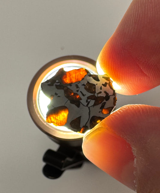 Hassi El Biod 002 Meteorite - 1.0g - A Rare, Ungrouped Olivine-Filled Pallasite!