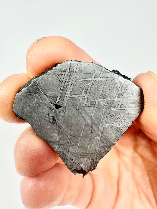 Beautiful, Newly Discovered Iron Meteorite - 21.0 Full Slice