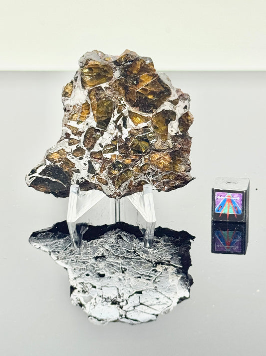 25.9g Admire Pallasite Meteorite - From The Mantle/Core Of An Asteroid - Grade B+ Translucency