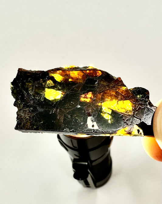 Beautifully Translucent Seymchan Pallasite Meteorite - 5.5g - From An Asteroid