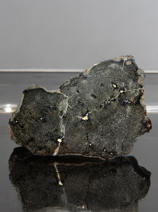 NEW: 28.6g Genuine Martian Meteorite FULL SLICE - Scientifically Studied Rock From Planet Mars