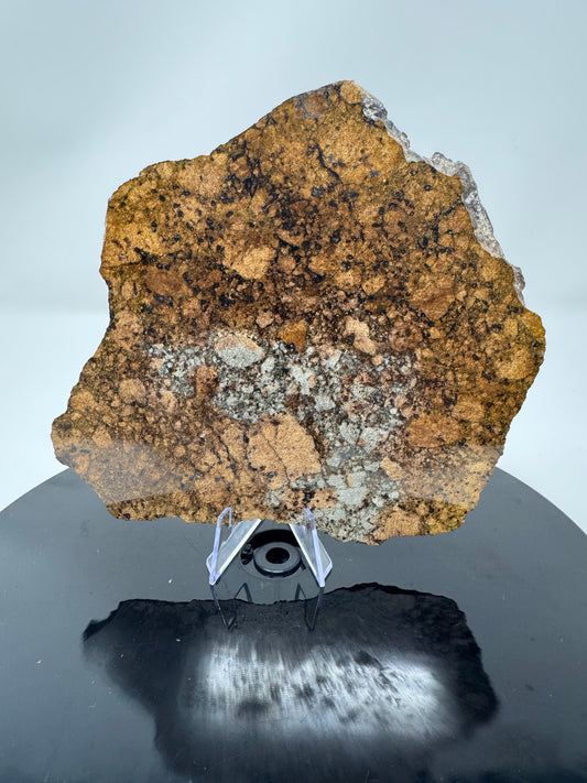 Huge End Cut of NWA 15953 Diogenite Meteorite - 669g - dual lithology and jet black burnt crust!