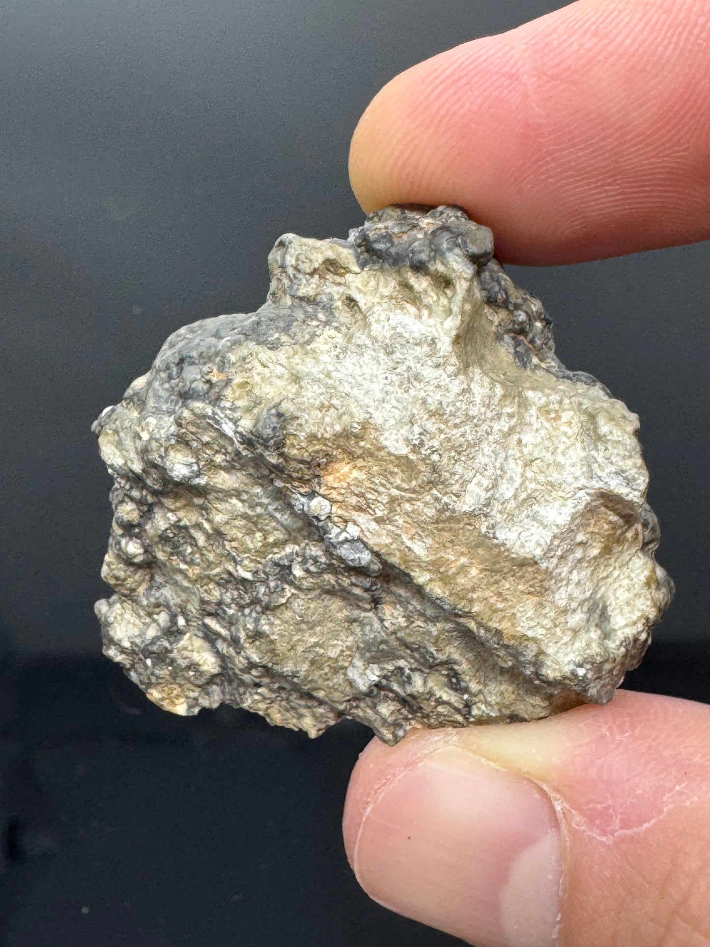 19.0g Gadamis 005 Lunar Meteorite END CUT - Rare Ferroan Anorthosite, Cataclastic - Polished - “The Apollo Lunar”