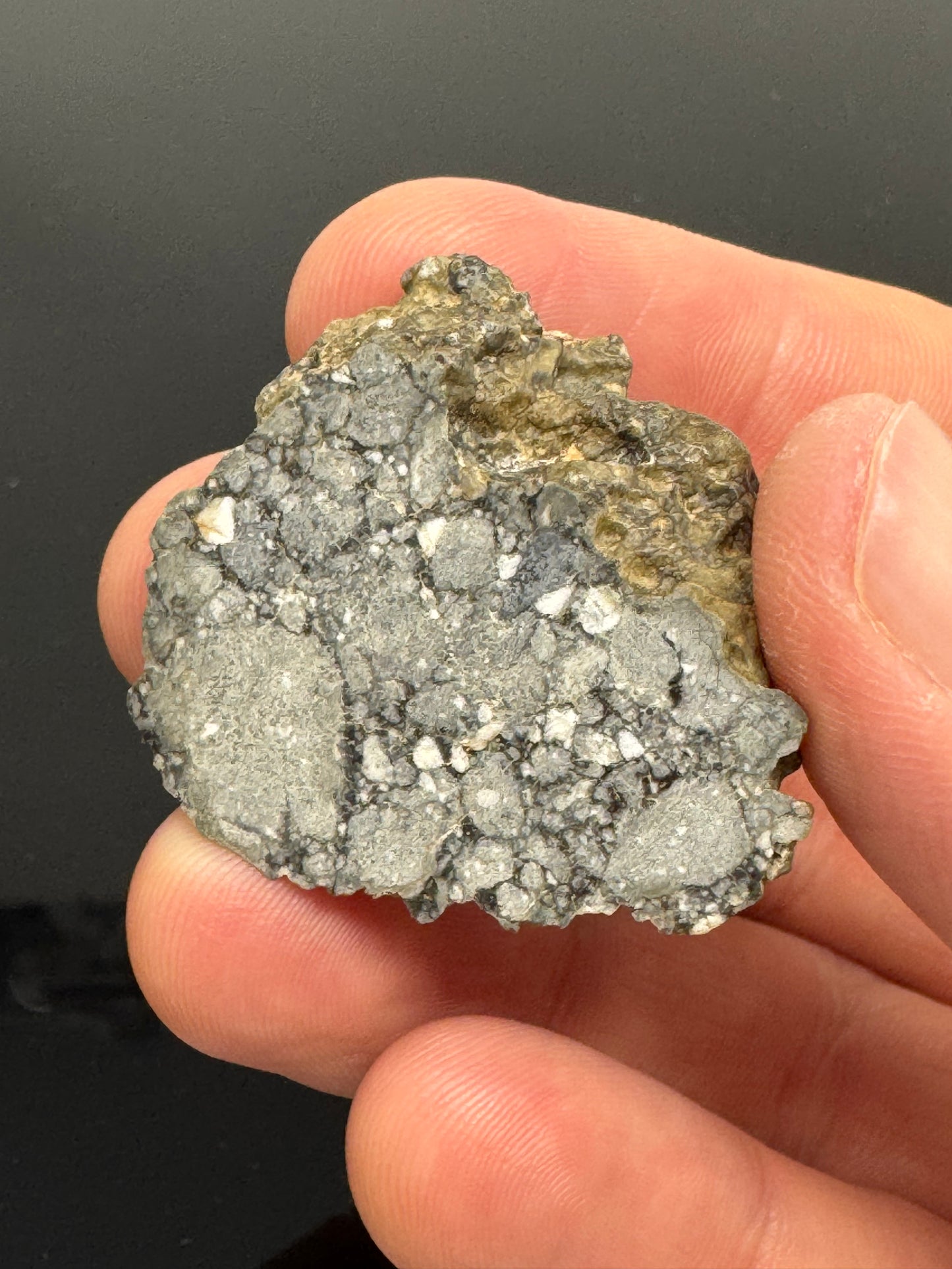 19.0g Gadamis 005 Lunar Meteorite END CUT - Rare Ferroan Anorthosite, Cataclastic - Polished - “The Apollo Lunar”