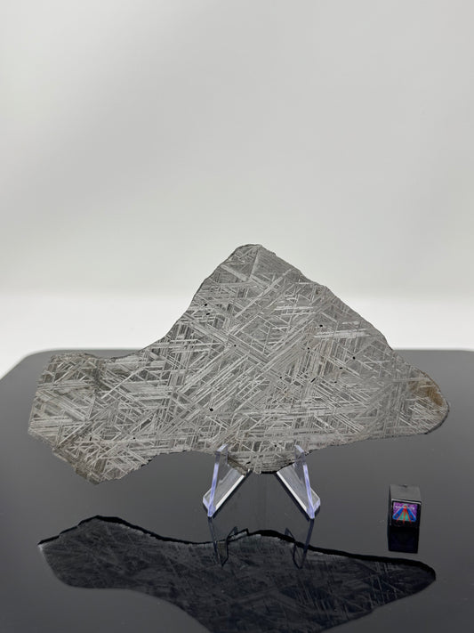 “The Infinity Iron” NWA 17092 - 149.1g Full Slice - From The Core Of An Asteroid