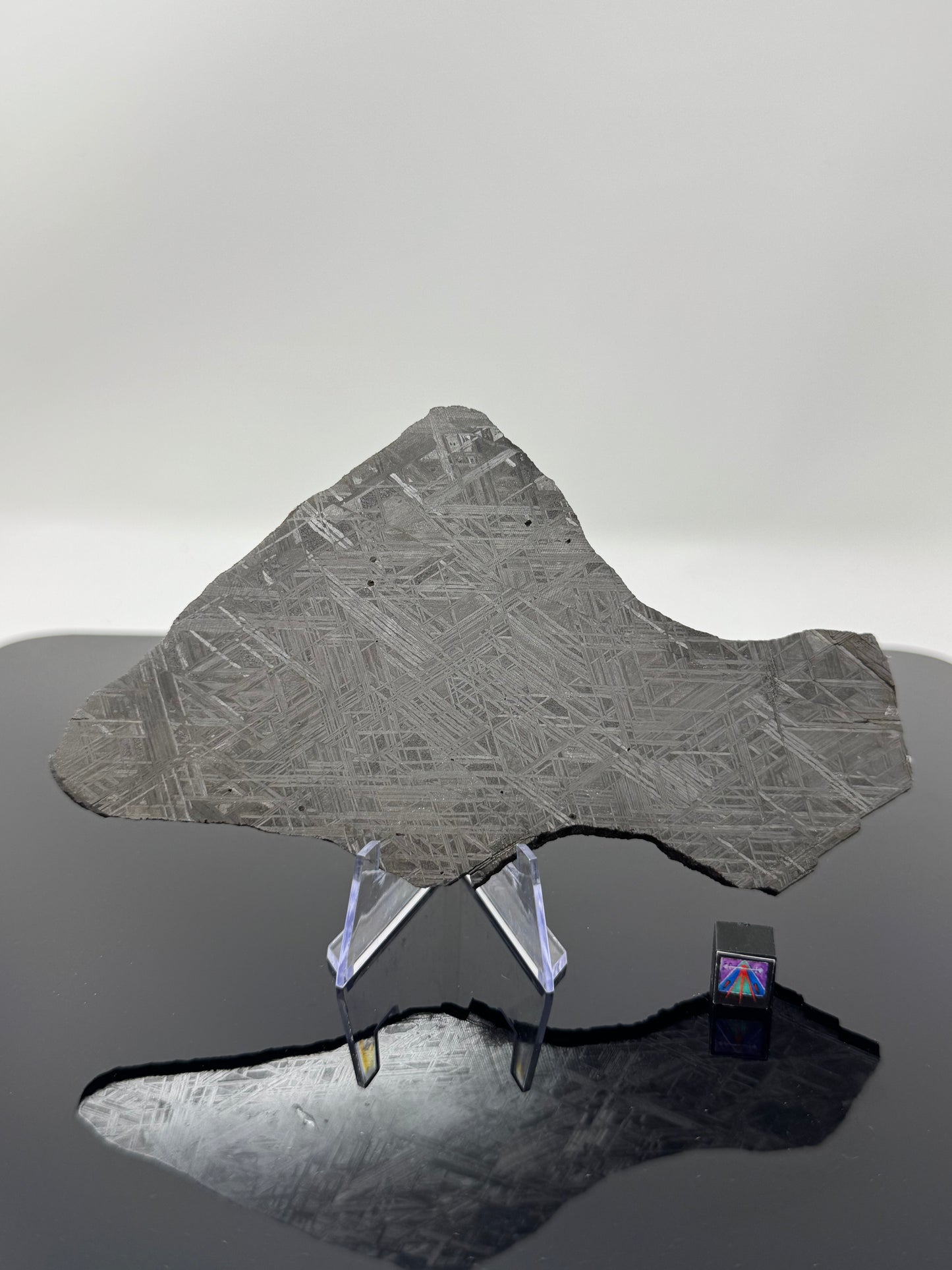 “The Infinity Iron” NWA 17092 - 149.1g Full Slice - From The Core Of An Asteroid
