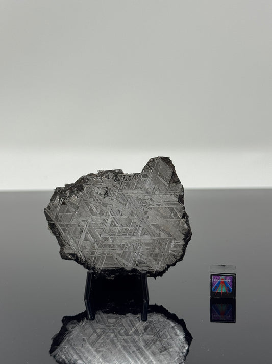 Muonionalusta Iron Meteorite - 44.8g Full Slice - From The Core Of An Asteroid!