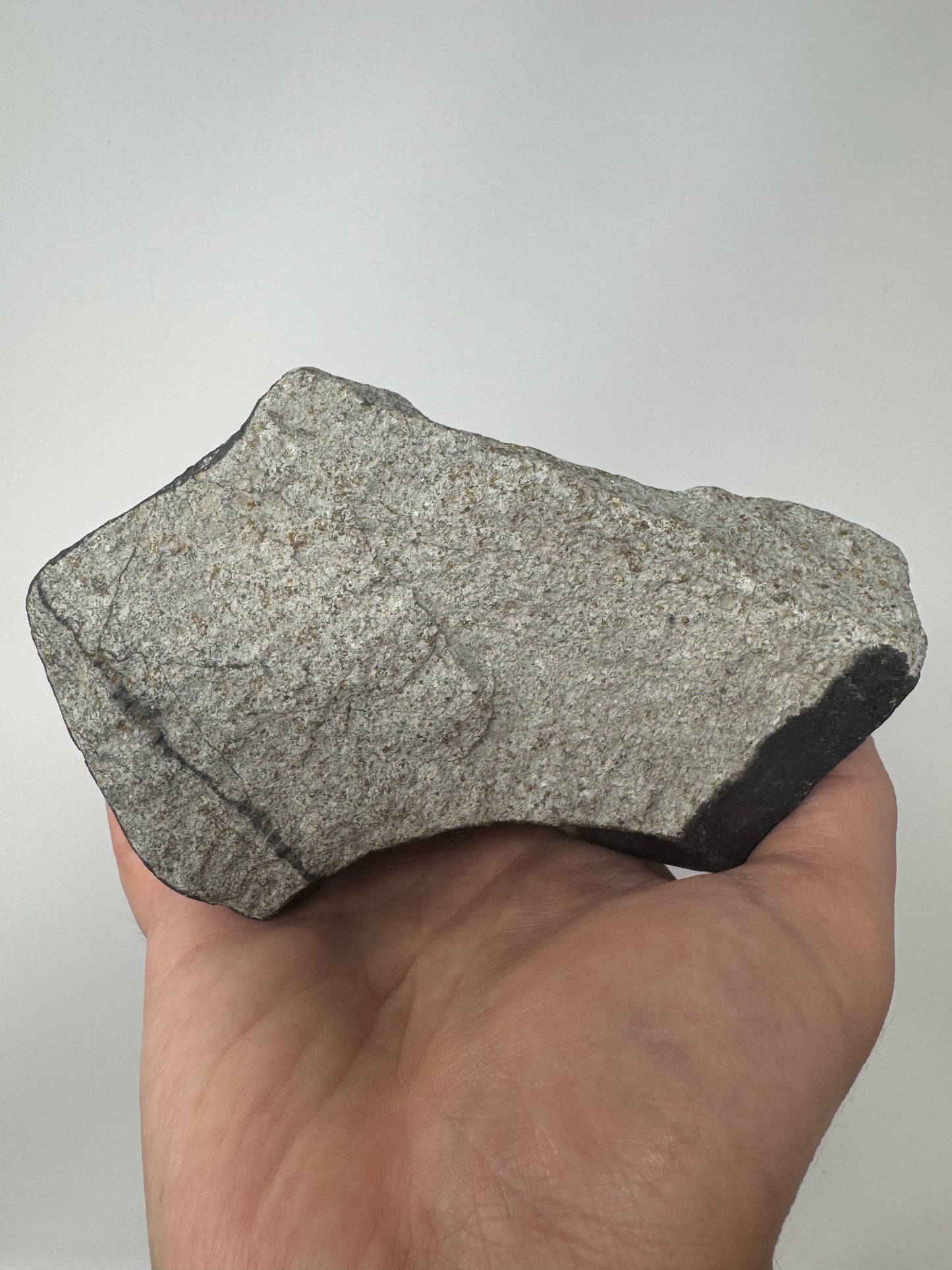 Massive, Fresh 891g HaH 346 (aka “Ghadamis”) Meteorite - Amazing Jet Black Crust, Shock Veins, Thumbprints, Contraction Cracks, Possible Witnessed Fall!