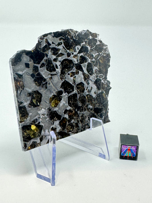 Brahin Pallasite Meteorite - 47.2g - From The Mantle/Core Of An Asteroid