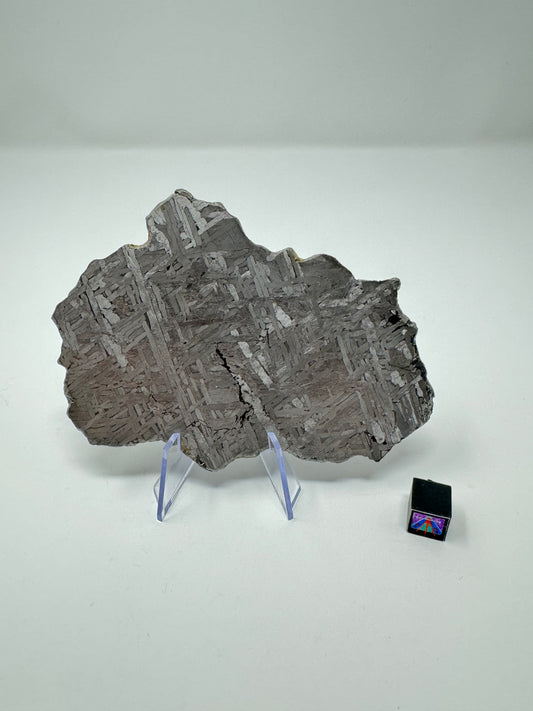 132g Iron Meteorite - NWA 6903 - From The Core Of An Asteroid!