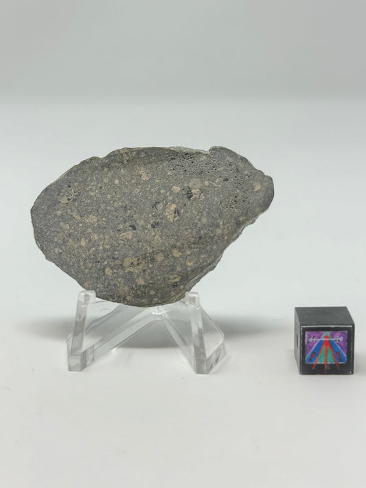 10.0g Jikharra 001 Eucrite Meteorite - Full Slice with Vesicle Bubbles - From The Asteroid Belt!