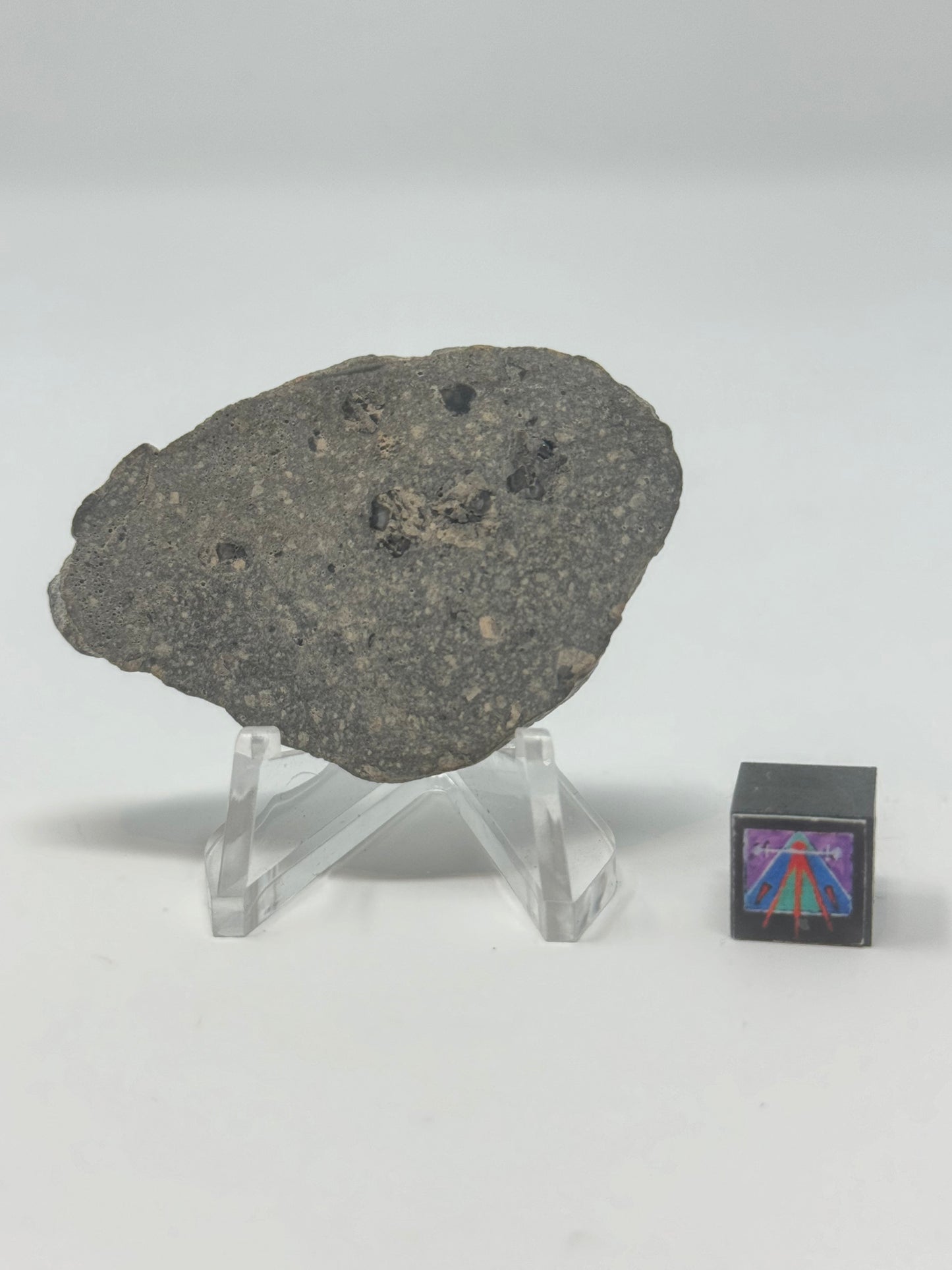 10.0g Jikharra 001 Eucrite Meteorite - Full Slice with Vesicle Bubbles - From The Asteroid Belt!