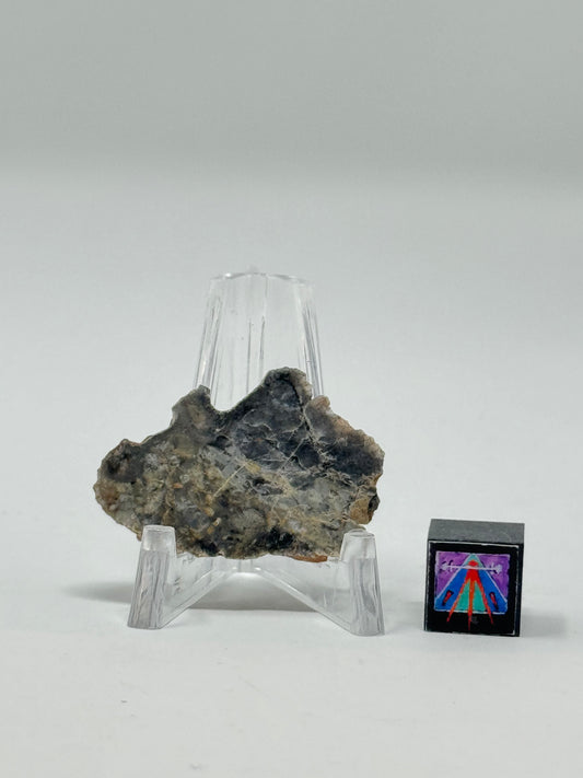 Bechar 003 Lunar Feldspathic Breccia - 2.7g - Full Slice/Polished on One Side