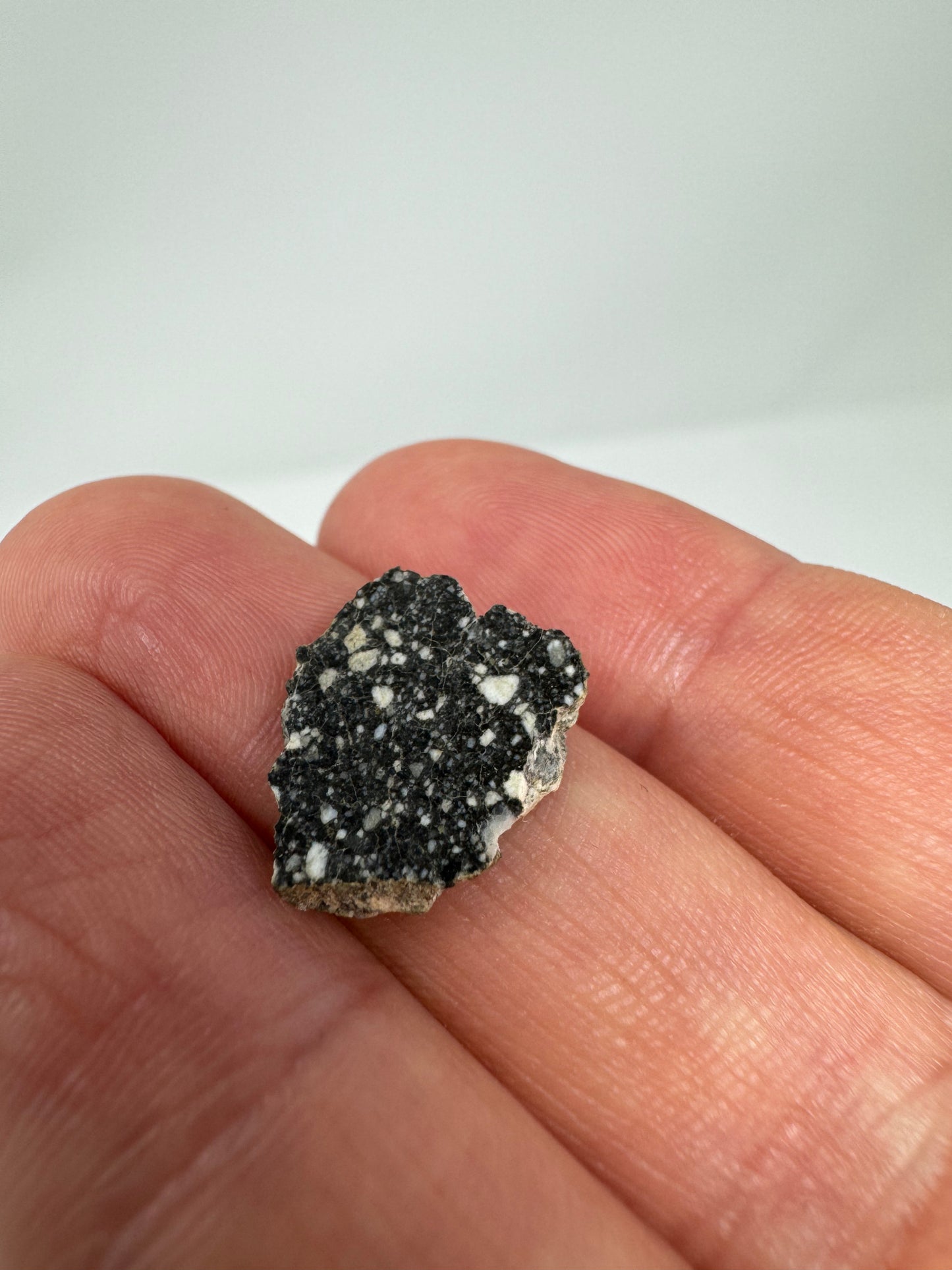 Stunning NWA 14685 Lunar Fragmental Breccia - 0.8g - A Chunk Of Our Moon