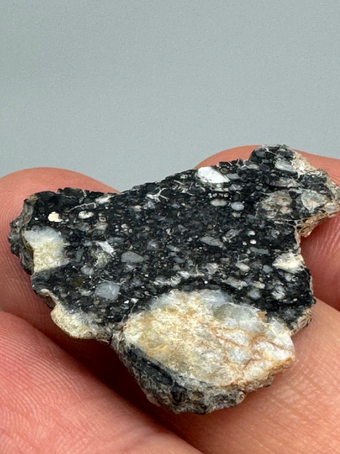 NWA 14685 Lunar Fragmental Breccia - Full Slice - 3.6g - A Chunk Of Our Moon!