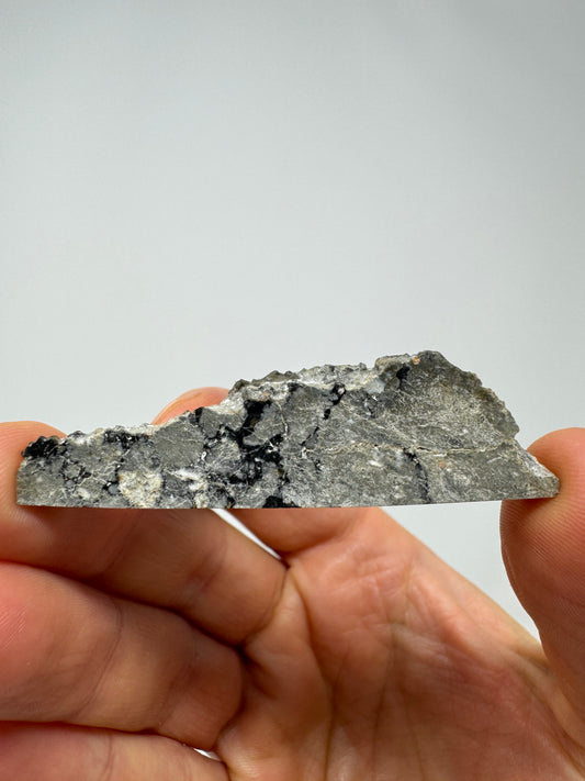 8.1 Gadamis 007 Lunar Meteorite - Rare Ferroan Anorthosite, Cataclastic - Polished - “The Apollo Lunar” - Thick Slice