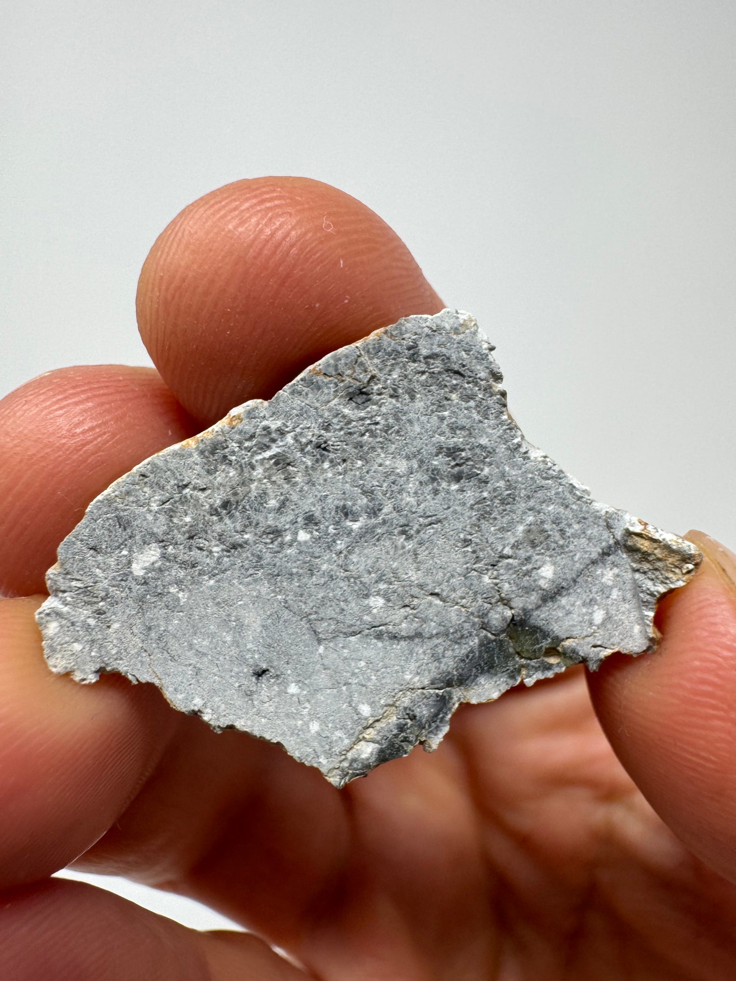 Gadamis 003 Lunar Meteorite - Ferroan Anorthosite, Cataclastic - “The Apollo Lunar” - Full Slice - 4.2g