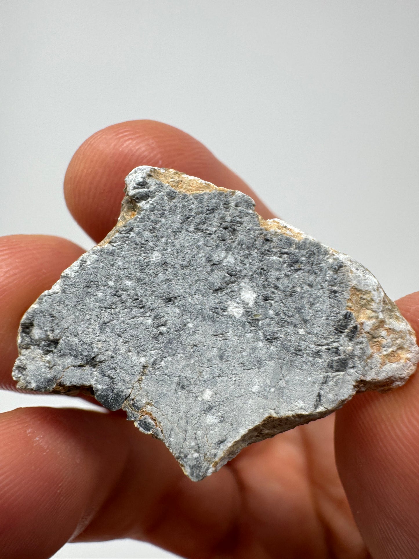 Gadamis 003 Lunar Meteorite - Ferroan Anorthosite, Cataclastic - “The Apollo Lunar” - Full Slice - 4.2g