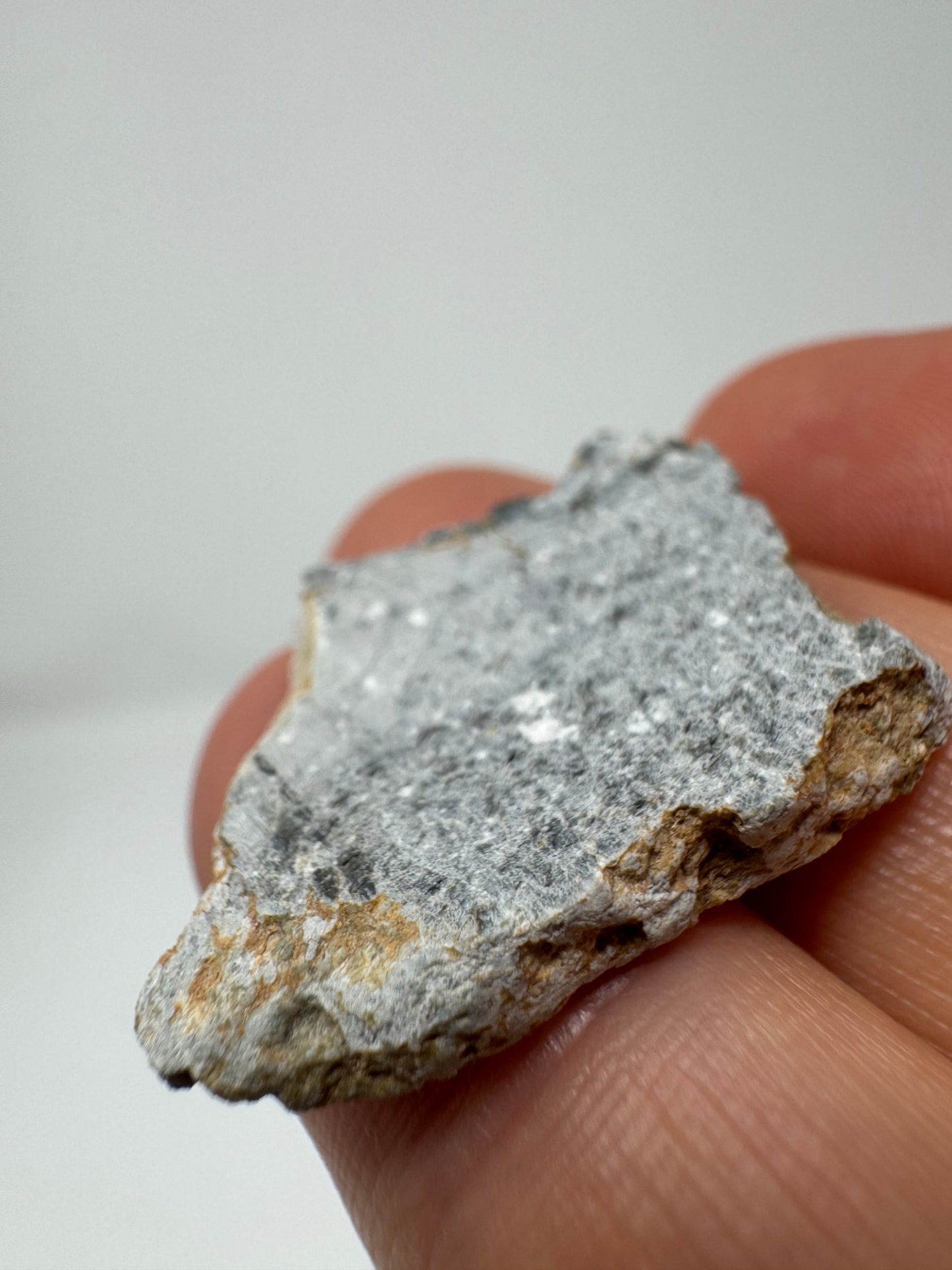 Gadamis 003 Lunar Meteorite - Ferroan Anorthosite, Cataclastic - “The Apollo Lunar” - Full Slice - 4.2g