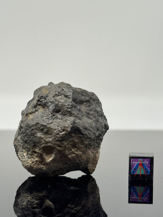 62.3g Lunar Troctolitic Melt - WHOLE STONE! A Rare Lunar Meteorite From Deep Within The Moon