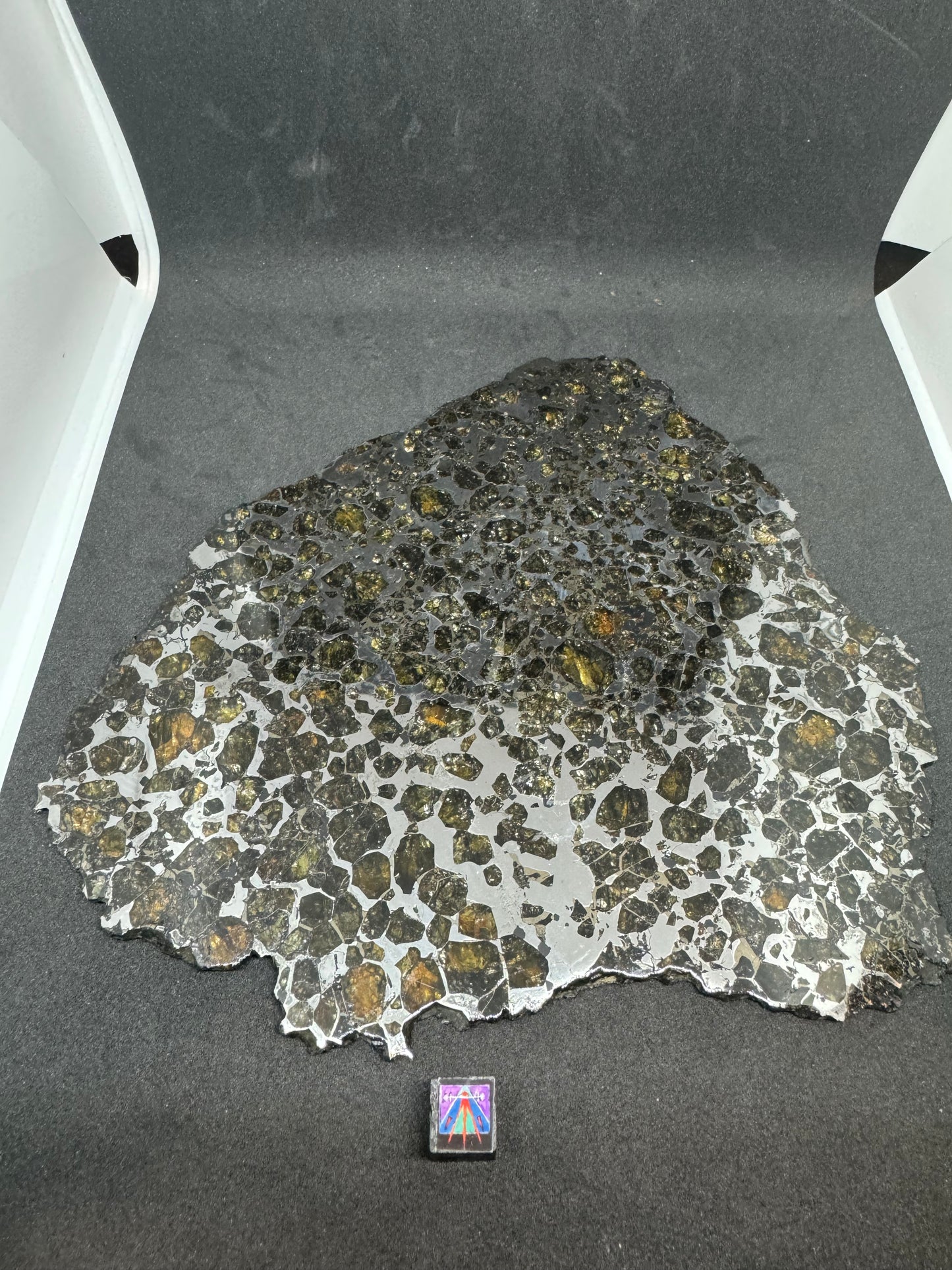 Brahin Pallasite Meteorite - Full Slice - 263g