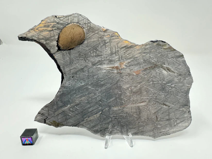 Chad Iron Meteorite - 268.3g