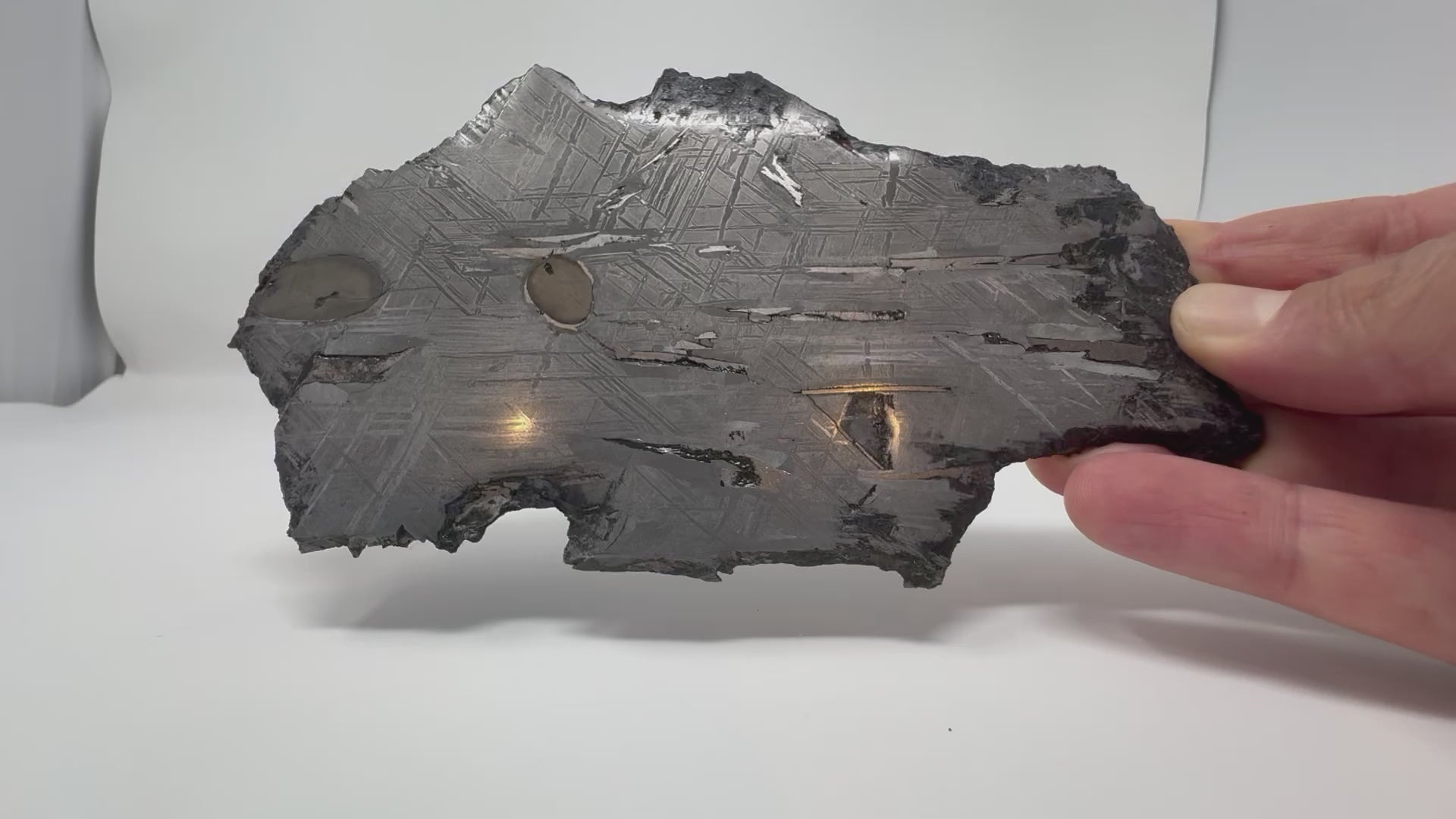 Aletai Meteorite - 278.9g - Full Slice w/ Troilite Inclusion