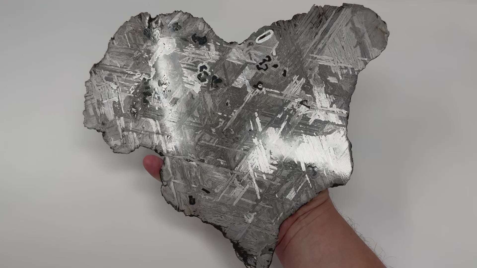 Seymchan Pallasite Meteorite - 1,474.18g - HUGE, Full Slice
